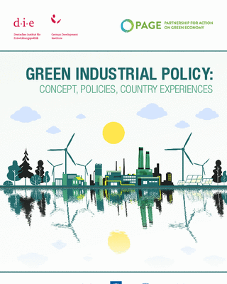 Green Industrial Policy Concept Policies Country Experiences