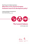 What does a more assertive European Parliament mean for EU development policy?