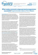What makes economic empowerment programmes successful? Experimental evidence from Malawi