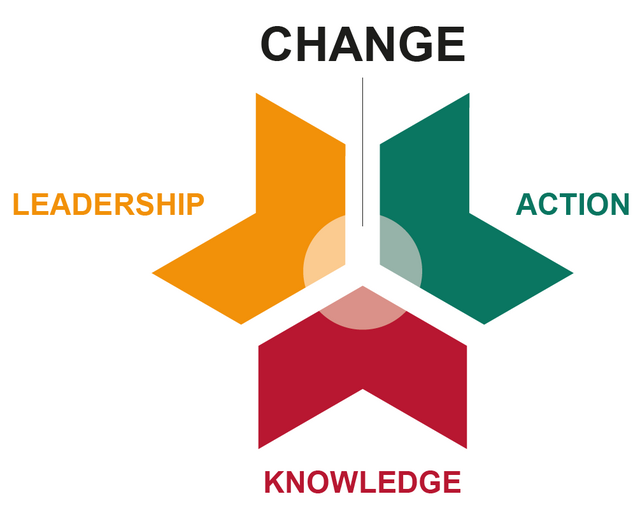 Graph: three essential elements that contribute to capacity development: knowledge, action and leadership.