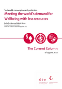 Meeting the world’s demand for Wellbeing with less resources
