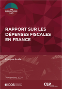 Rapport sur les dépenses fiscales en France