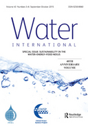 Empowering global water governance: taking the 2023 UN Water Conference outcomes forward to address the current water crises