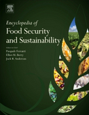 Agroecological intensiﬁcation: potential and limitations to achieving food security and sustainability