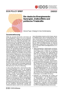 Die deutsche Energiewende:  Synergien, Zielkonflikte und politische Triebkräfte