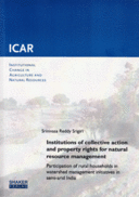 Institutions of collective action and property rights for natural resource management: participation of rural households in watershed management initiatives in semi-arid India