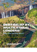 Debt relief by multilateral lenders: why, how and how much?