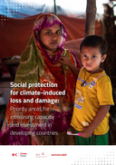 Social protection for climate-induced loss and damage: priority areas for increasing capacity and investment in developing countries