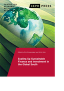 The role of central banks and supervisors in scaling up sustainable finance and investment in the Global South