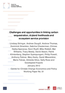 Challenges and opportunities in linking carbon sequestration, dryland livelihoods and ecosystem service provision