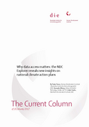 Why data access matters: the NDC Explorer reveals new insights on national climate action plans