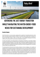 Advancing the just energy transition whilst navigating the water-energy-food-nexus for sustainable development