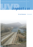 Environmental impact assessments and hydropower: constraints and opportunities for sustainable hydropower