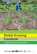 Postkoloniale agrarpolitische Erfahrungen in Subsahara-Afrika