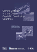 Climate change and the cost of capital in developing countries: assessing the impact of climate risks on sovereign borrowing costs