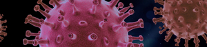 Image: Header of the theme Special "The Corona Virus and international development cooperation", Image of Corona Viruses  